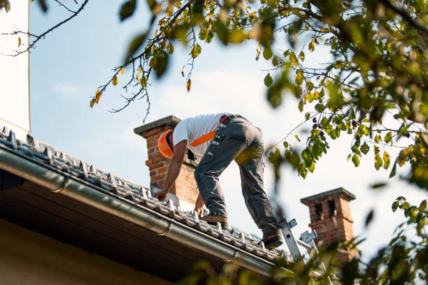 Best Roof Leak Repair  in New California, OH