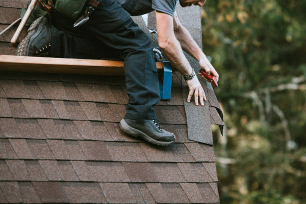 Best Roof Gutter Cleaning  in New California, OH