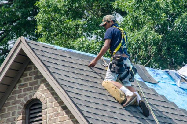 Best Roof Gutter Cleaning  in New California, OH